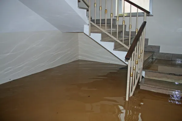 Navigating Water Damage Restoration Costs: What to Expect